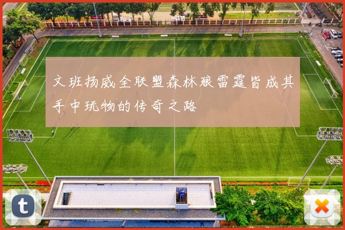 文班扬威全联盟森林狼雷霆皆成其手中玩物的传奇之路