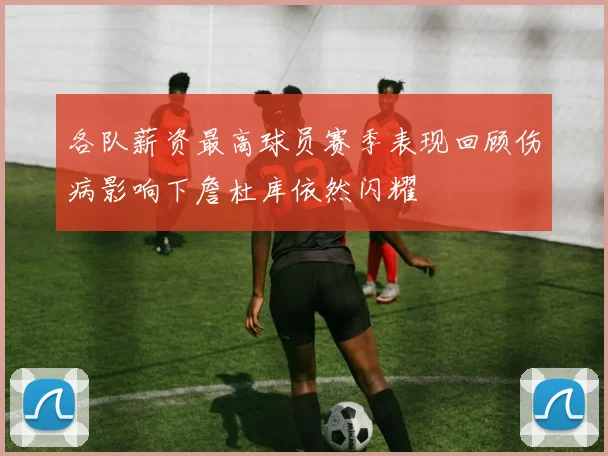 各队薪资最高球员赛季表现回顾伤病影响下詹杜库依然闪耀