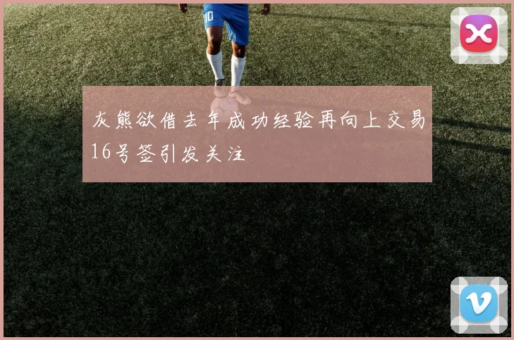 灰熊欲借去年成功经验再向上交易16号签引发关注