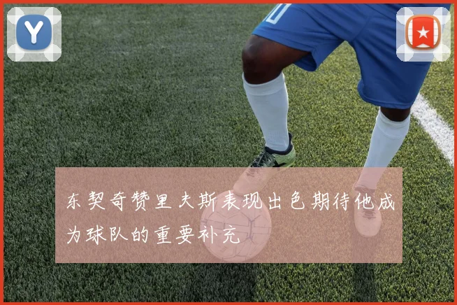 东契奇赞里夫斯表现出色期待他成为球队的重要补充