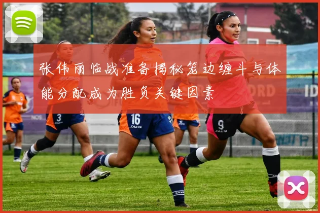 张伟丽临战准备揭秘笼边缠斗与体能分配成为胜负关键因素